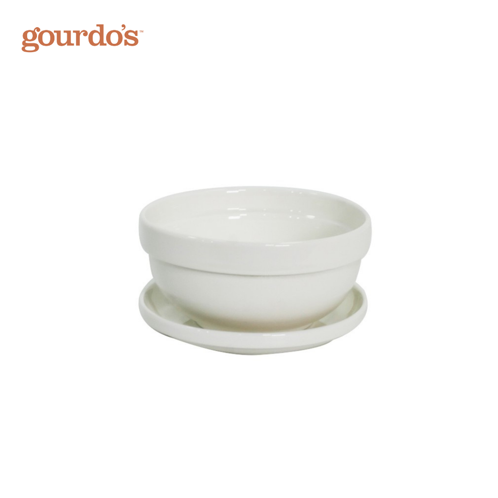 Gourdo's Porcelain Bowl With Stackable Lid Bistro
