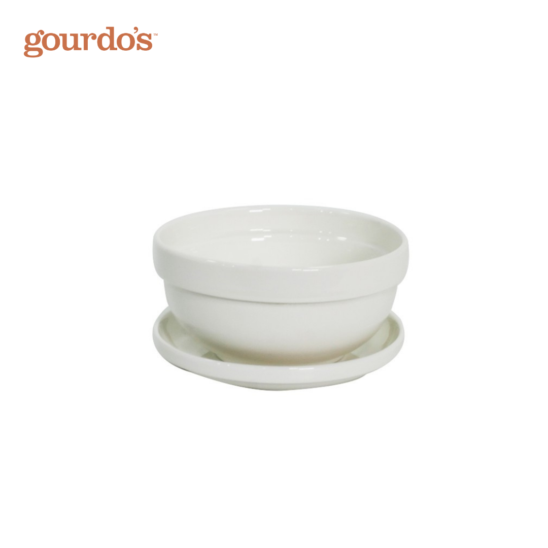 Gourdo's Porcelain Bowl With Stackable Lid Bistro